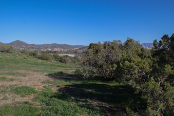 Enlarge photo 63