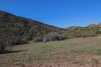 Enlarge photo 64