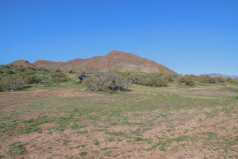 Enlarge photo 65