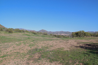Enlarge photo 66