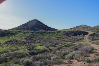 Enlarge photo 67
