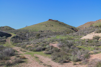 Enlarge photo 68