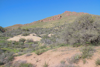 Enlarge photo 69