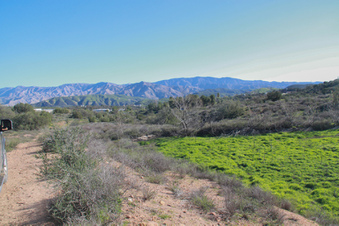 Enlarge photo 70