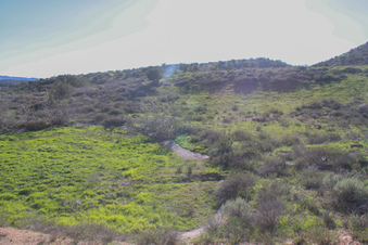 Enlarge photo 71