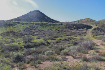 Enlarge photo 72