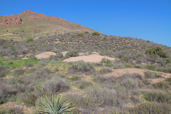 Enlarge photo 73