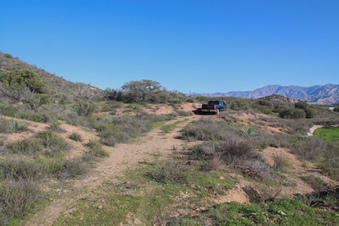 Enlarge photo 74