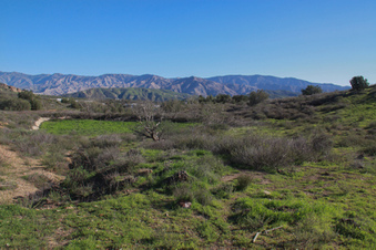 Enlarge photo 75