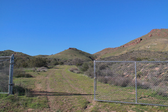 Enlarge photo 77