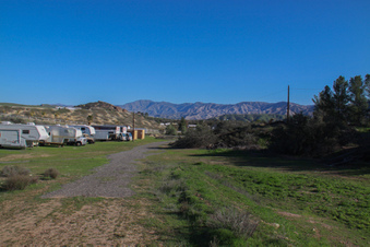 Enlarge photo 80