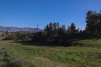 Enlarge photo 81
