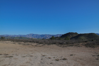 Enlarge photo 84