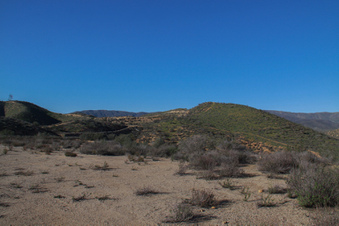 Enlarge photo 87