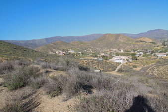Enlarge photo 88
