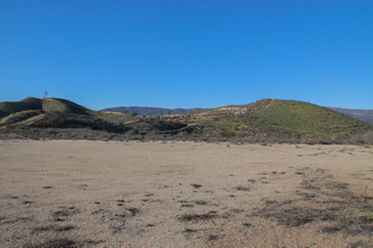 Enlarge photo 92