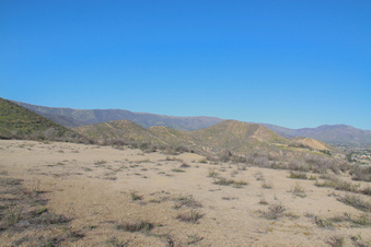 Enlarge photo 93