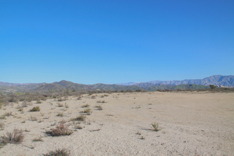 Enlarge photo 94