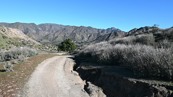 Enlarge photo 3