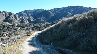 Enlarge photo 4