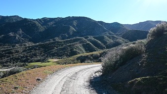 Enlarge photo 7