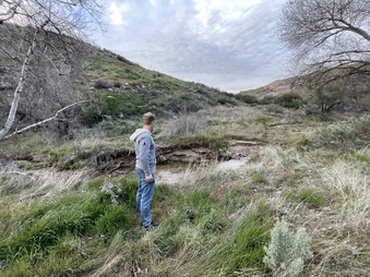 Enlarge photo 3