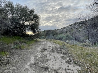 Enlarge photo 7