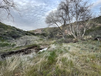 Enlarge photo 2