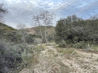 Enlarge photo 12