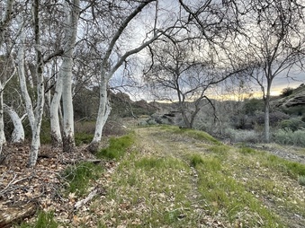 Enlarge photo 9
