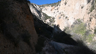 Enlarge photo 11