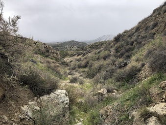 Enlarge photo 10