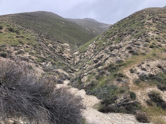 CAVE 
