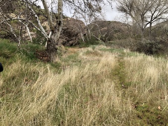 Enlarge photo 10
