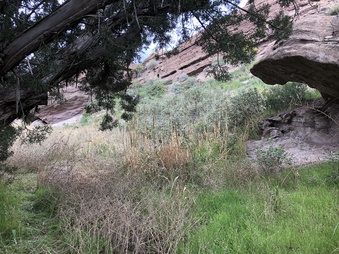 Enlarge photo 2