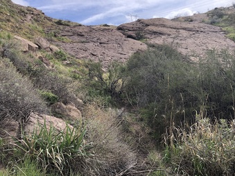 Enlarge photo 9