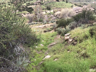 Enlarge photo 16