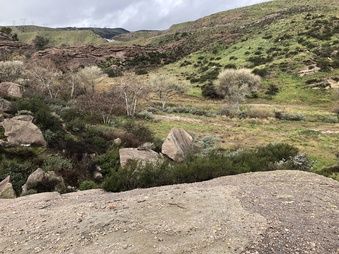 Enlarge photo 25