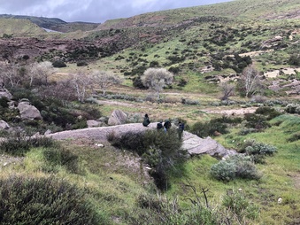Enlarge photo 32