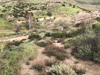 Enlarge photo 6