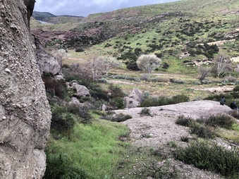 Enlarge photo 28
