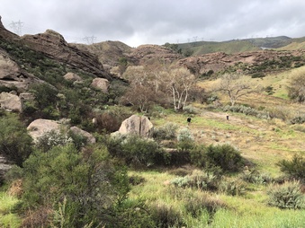 ROCKY SLOPE