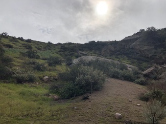 Enlarge photo 2