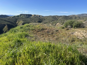 Enlarge photo 12