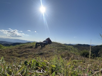 Enlarge photo 15