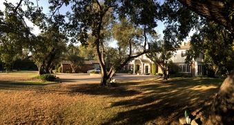 Enlarge photo 13