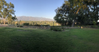 Enlarge photo 30