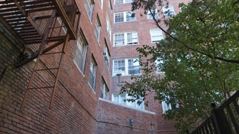 Enlarge photo 51