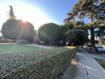 Enlarge photo 2