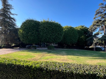 Enlarge photo 5